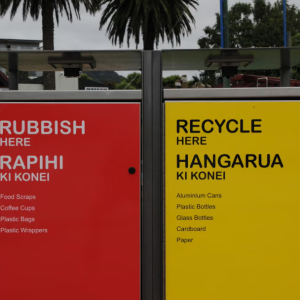 “将英语列为新西兰官方语言”立法案通过一读…